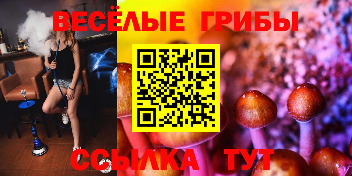 Галлюциногенные грибы мицелий Каменск-Уральский